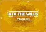 Into The Wilds Battlemaps: Volume 3 Three Book Box Set (Pre-Order)